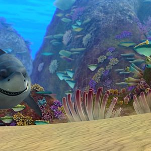 Foto O Mar Não Está Prá Peixe: Tubarões à Vista