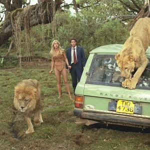 Foto Sheena, A Rainha das Selvas