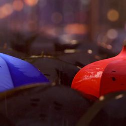 Foto O Guarda-Chuva Azul