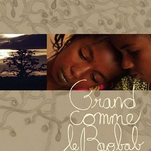 Foto Grand comme le Baobab