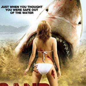 Foto Tubarões da Areia