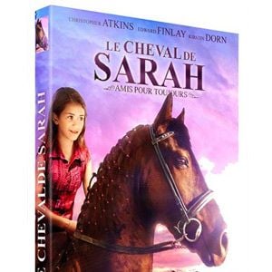 Foto Meu Amigo Harley