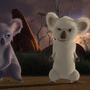 Foto Outback - Uma Galera Animal