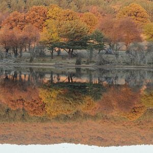 Foto Pânico no Lago: O Capítulo Final
