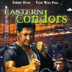 Foto Os Condores do Oriente