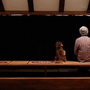 Foto Cortinas Fechadas