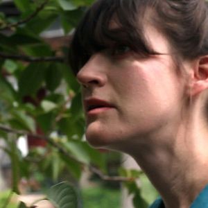 Foto Tudo Acontece em Nova York