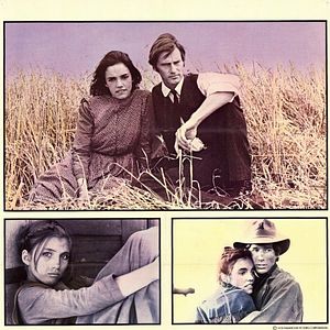 Foto Cinzas no Paraíso