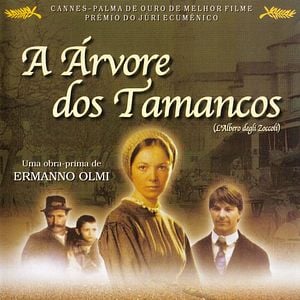 Foto A Árvore dos Tamancos