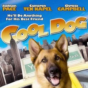 Foto Meu Maior Amigo