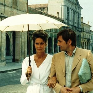 Foto A Estratégia da Aranha