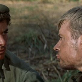 Foto Mortos que Caminham