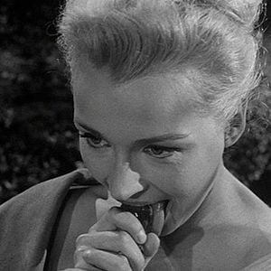 Foto A Lei dos Marginais