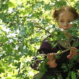 Foto Le renard et l'enfant