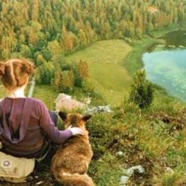 Foto Le renard et l'enfant