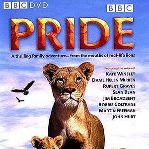 Foto Suki - A Rainha Da Selva