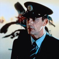 Foto Aluga-se um Garoto