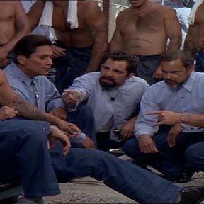 Foto Marcados Pelo Sangue