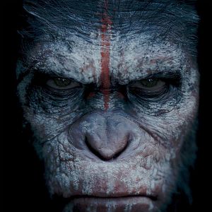 Foto Planeta dos Macacos: O Confronto