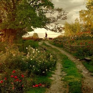 Foto A Bela e a Fera