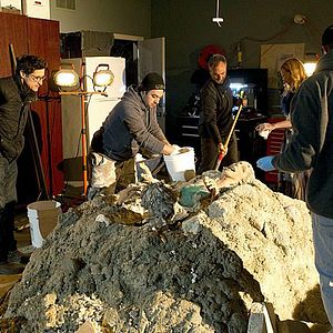 Foto CSI: Crime Scene Investigation