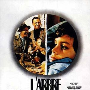 Foto Cada Dia Será como Deus Quiser