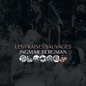 Foto Morangos Silvestres