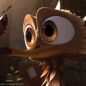 Foto O Passarinho Amarelo