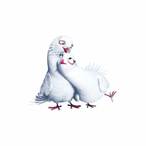 Foto A Mansão Mágica