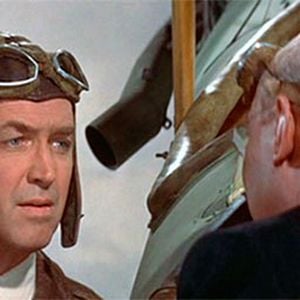 Foto Águia Solitária