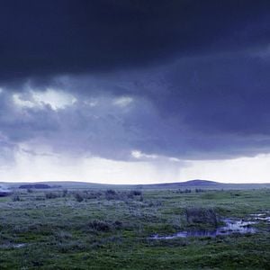 Foto Uma Noite Para Esquecer