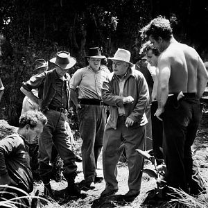 Foto O Segredo Do Pântano