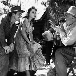 Foto O Segredo Do Pântano