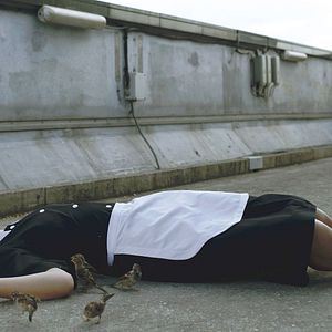 Foto Pessoas-pássaro