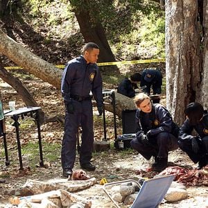 Foto Patricia Belcher