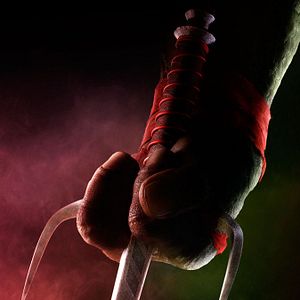 Foto As Tartarugas Ninja