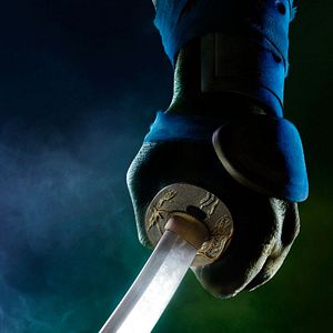 Foto As Tartarugas Ninja