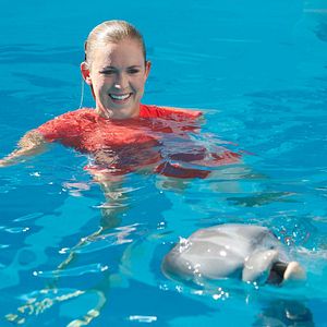 Foto Winter, o Golfinho 2