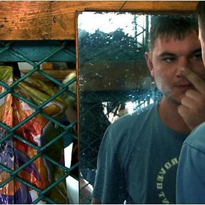 Foto O Dia do Mineiro