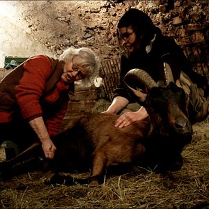 Foto Les Chèvres de ma mère