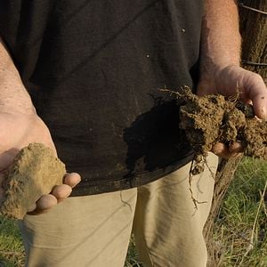 Foto Resistência Natural