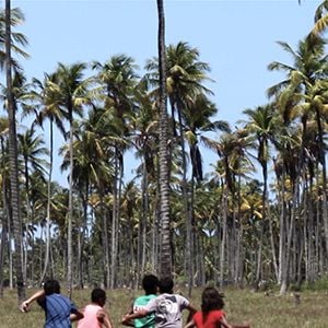 Foto Sem Coração (short)