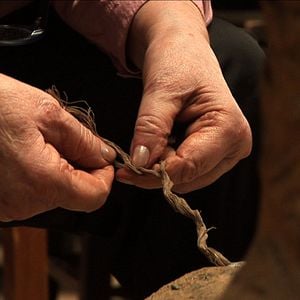 Foto Sementes do Nosso Quintal