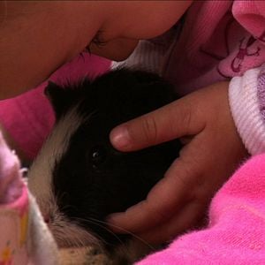 Foto Sementes do Nosso Quintal