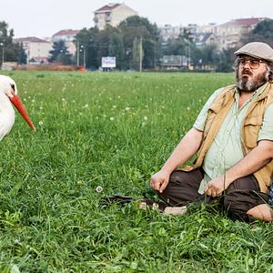 Foto O Comandante e a Cegonha