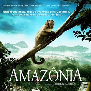 Foto Amazônia