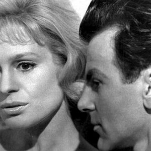 Foto De Volta das Cinzas