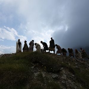 Foto Ricardo Coração de Leão