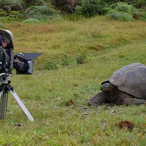 Foto O Caso Galápagos - Quando Satã Veio ao Paraíso