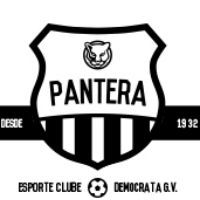 Foto Pantera